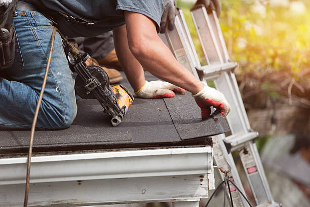 Best Roof Gutter Cleaning  in Salem, WV