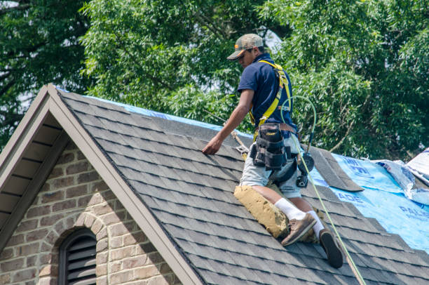 Best Gutter Installation and Roofing  in Salem, WV